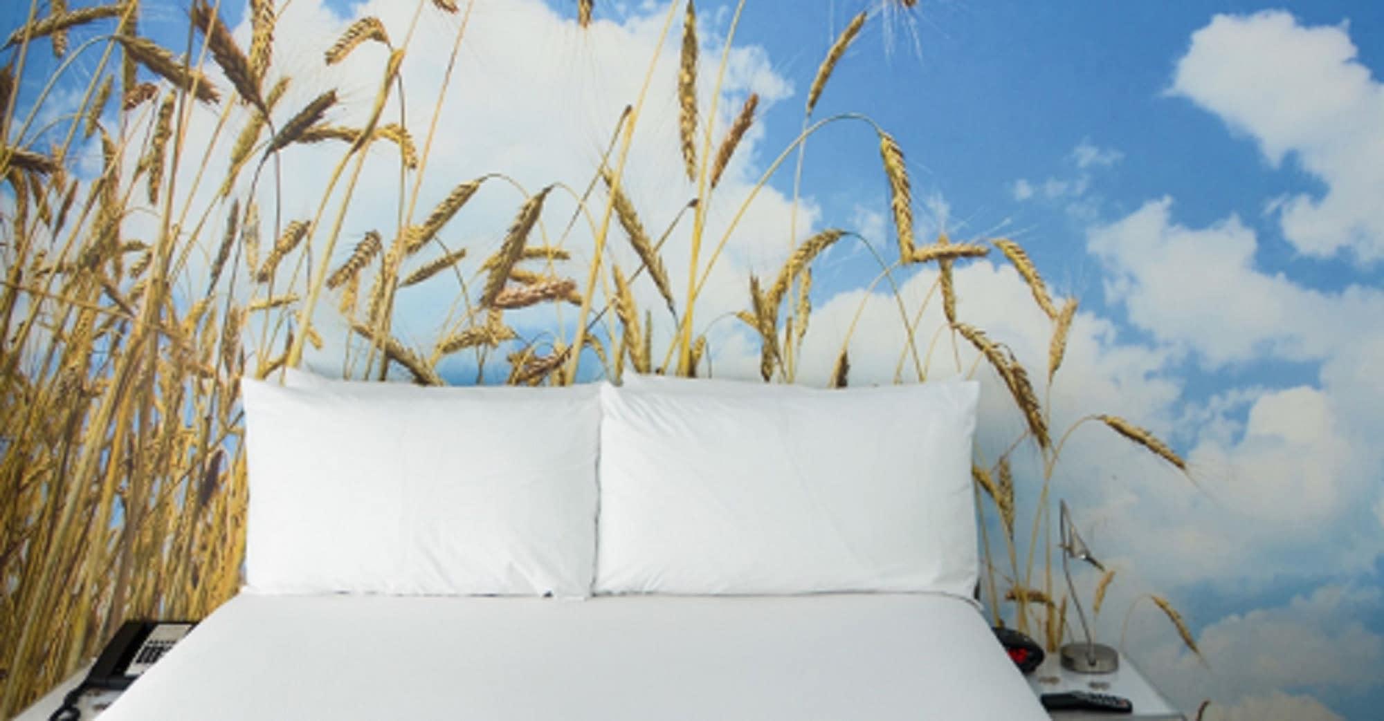 Penguin Hotel Miami Beach Bagian luar foto